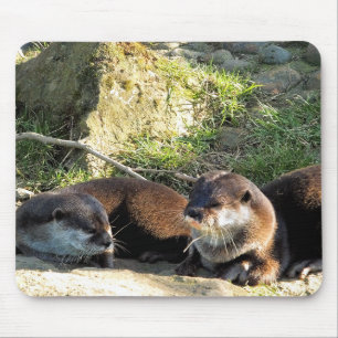 OTTERS MOUSE MAT