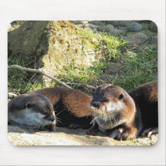 OTTERS MOUSE MAT