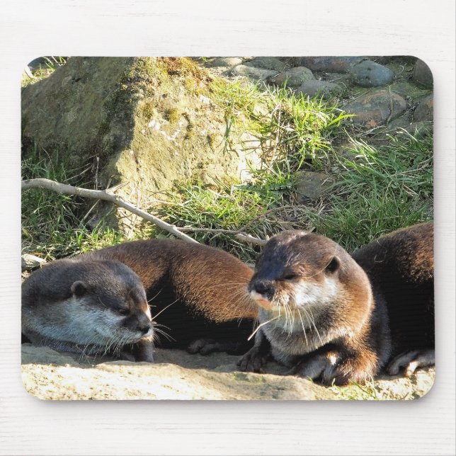 OTTERS MOUSE MAT (Front)