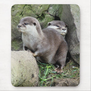 OTTERS MOUSE MAT