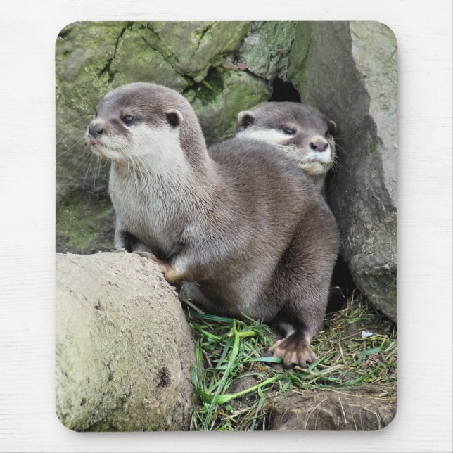 OTTERS MOUSE MAT (Front)