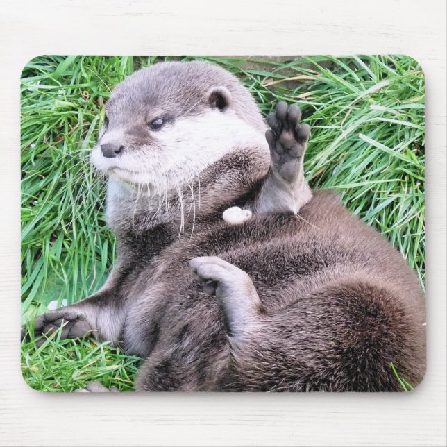 OTTERS MOUSE MAT (Front)