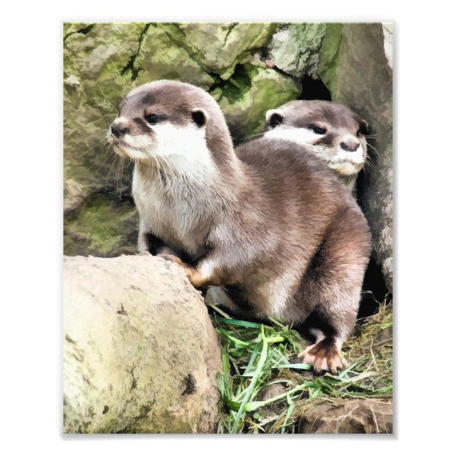 OTTERS PHOTO PRINT (Front)