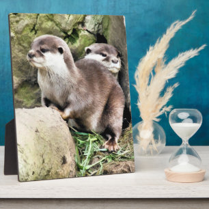 OTTERS PLAQUE
