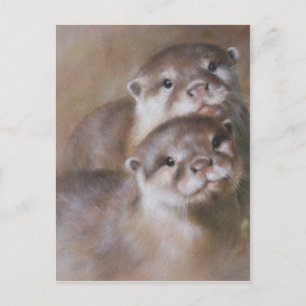Otters Postcard