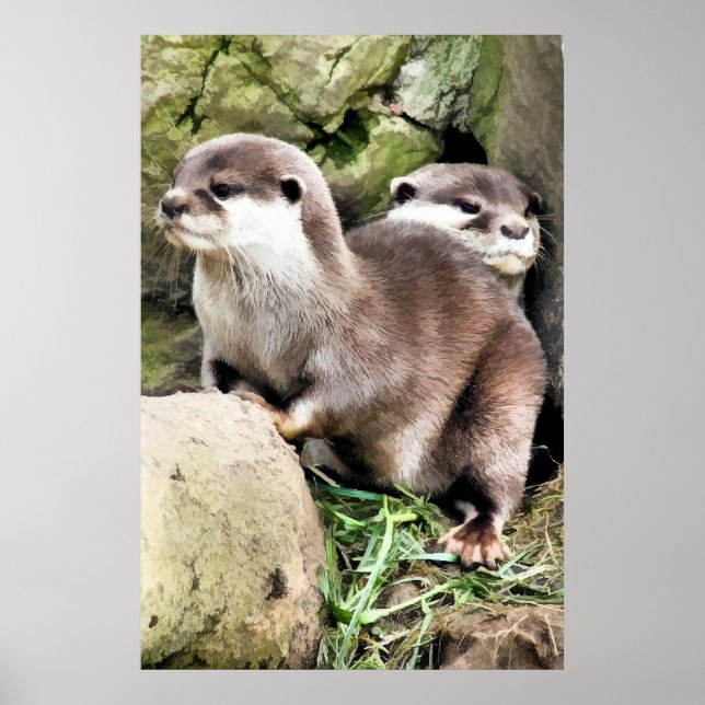 OTTERS POSTER (Front)