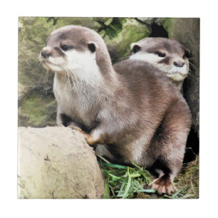 OTTERS TILE