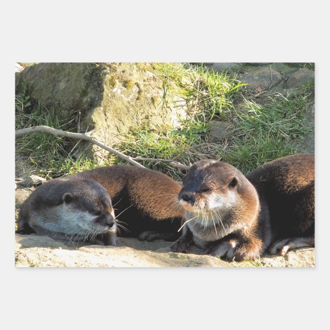 OTTERS WRAPPING PAPER SHEET (Front)