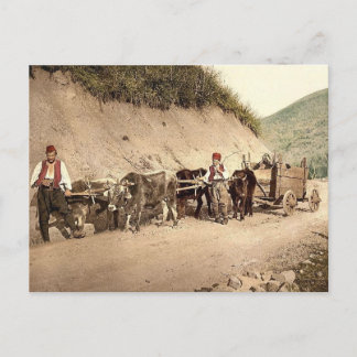 Ottoman Empire Postcard
