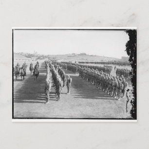 Ottoman Military Postcard