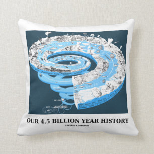 Our 4.5 Billion Year History (Geological Time) Cushion