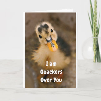 **OUR ANNIVERSARY** I AM QUACKERS OVER "YOU!" CARD
