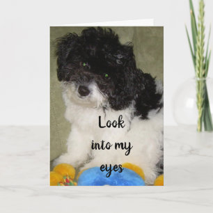 "OUR ANNIVERSARY" WHAT DO U THINK I AM THINKING? CARD