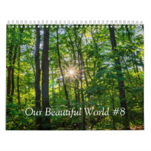 Our Beautiful World #8