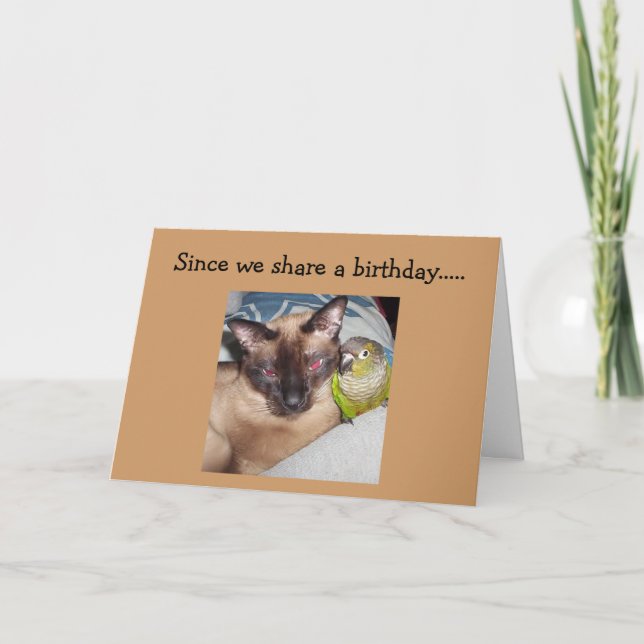 "OUR BIRTHDAY" IS HERE! HOPE IT'S PURR-FECT CARD (Front)