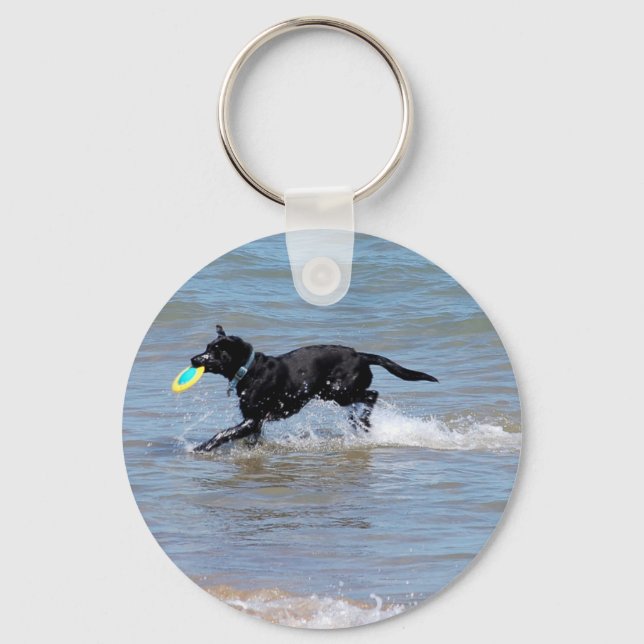 Our Black Labrador Retrieving Frisbee from Lake Key Ring (Front)
