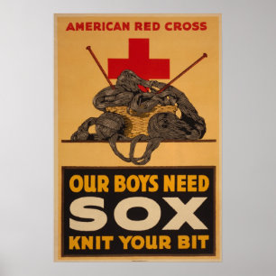 Our Boys Need Sox Poster
