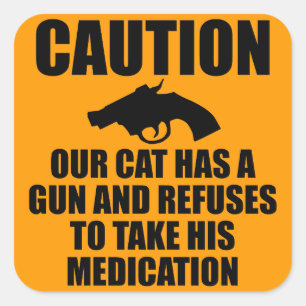 Our Cat Has a Gun Square Sticker