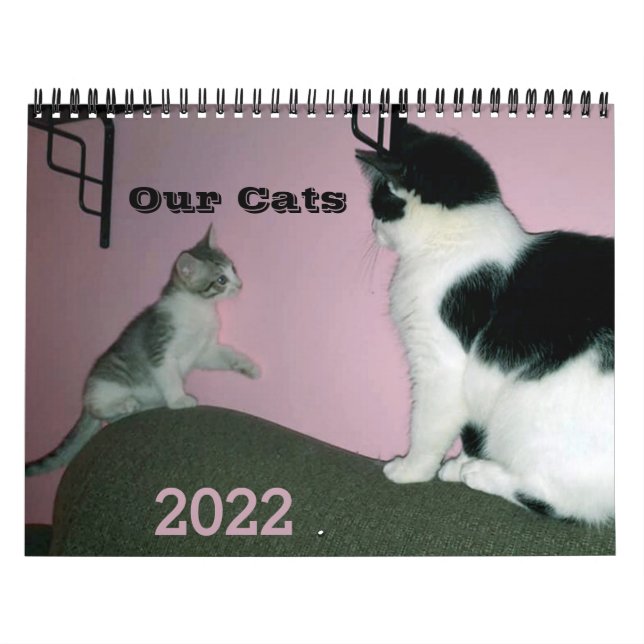 Our Cats 2022 Personalised Calendar (Cover)