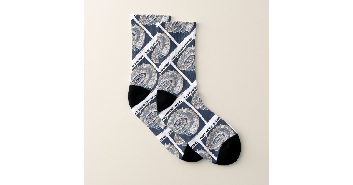 Our Common History Earth History Timeline Spiral Socks Zazzle