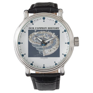 Our Common History Earth's Geological Timeline Watch