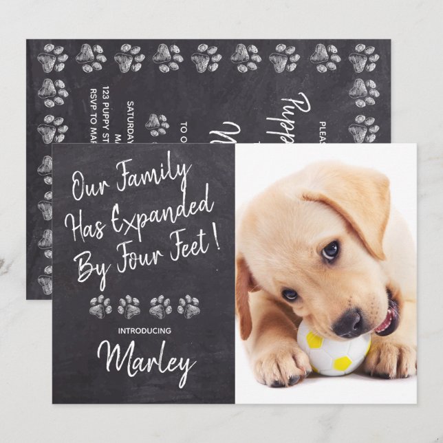 Our Family Four Feet New Pet Dog Puppy Shower Invitation (Front/Back)