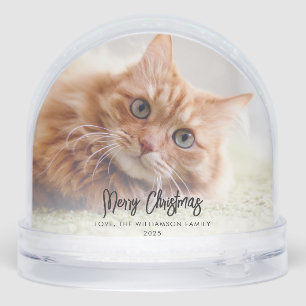 Our First Christmas as a Family Photos Custom Snowglobe