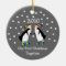 Our First Christmas Together 2010 (GLBT Penguins)