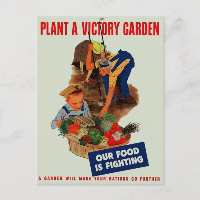 Our Food is Fighting Postcard (Front)