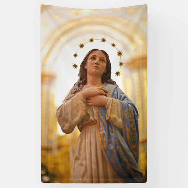 Our Lady of Conception Banner (Vertical)