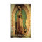 Our Lady of Guadalupe Framable Poster