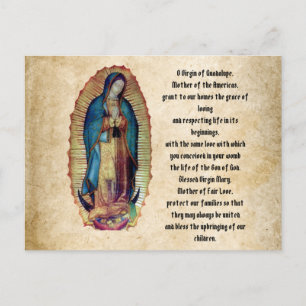 Our Lady of Guadalupe, Nuestra Señora de Guadalupe Postcard