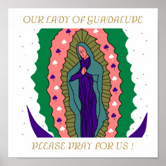 OUR LADY OF GUADALUPE PLEASE PRAY FOR US ! POSTER