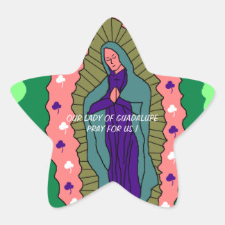 OUR LADY OF GUADALUPE PLEASE PRAY FOR US ! STAR STICKER