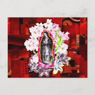 Our Lady of Guadeloupe (Our Lady of Guadeloupe) Postcard