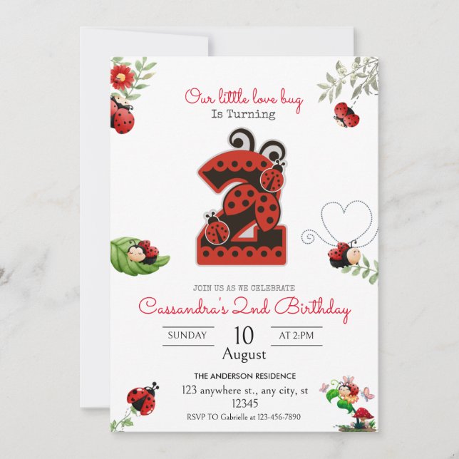 Our Little Lady Lady Bug 2nd Birthday Party Invitation (Front)