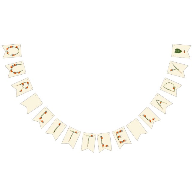 Our little Ladybug is turning one - first birthday Bunting (All)