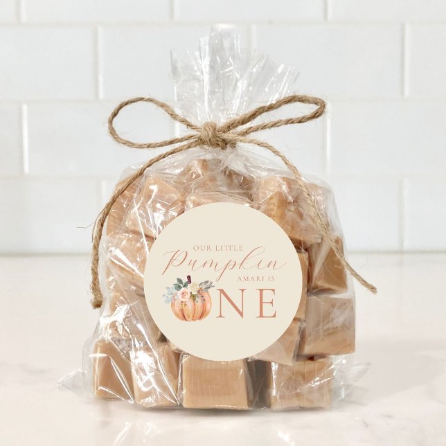 Our Little Pumpkin is One 1st Birthday Classic Round Sticker (Creator Uploaded)