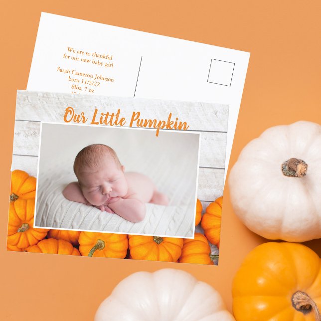 Our Little Pumpkin Thanksgiving Newborn Photo Postcard (Creator Uploaded)