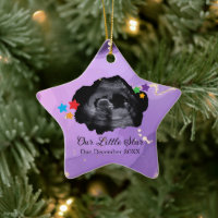 Our Little Star Baby Ultrasound Sonogram