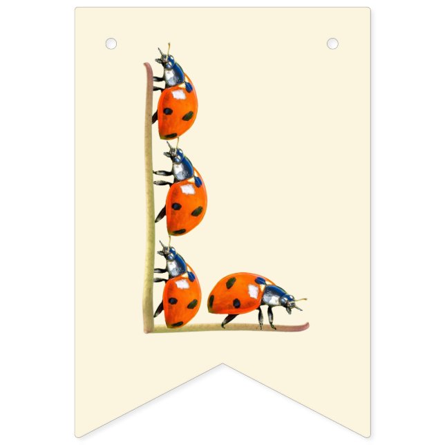 Our Love Bug Ladybug birthday banner First birthda (Seventh Flag)