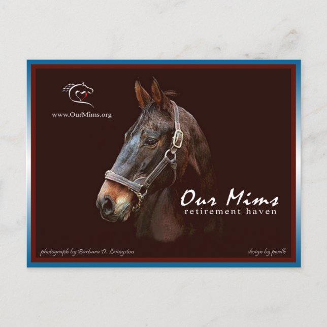 Our Mims Tribute Post Card (Front)