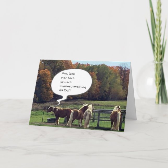 OUR NEIGHBOR'S HORSES WISH YOU **HAPPY BIRTHDAY** CARD (Front)