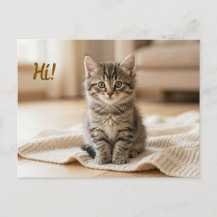 Our New Kitten Photo Announcement  Postcard