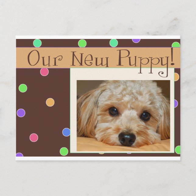 Our New Puppy - Customised Postcard (Front)