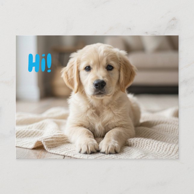 Our New Puppy Photo Announcement  Postcard (Front)