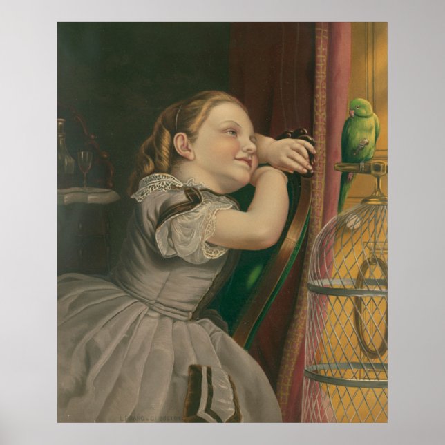 Our Pet Polly Poster (Front)