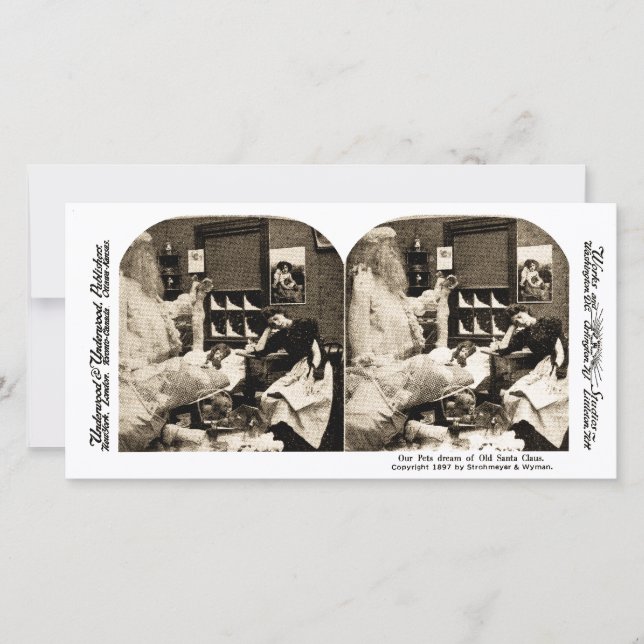 Our Pets Dream of Old Santa Claus Stereoview 1897 Holiday Card (Front)