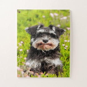 Our Schnauzer Our Family Pet Jigsaw Puzzle