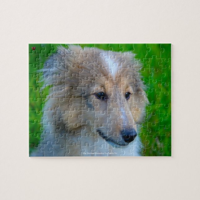 Our Shetland Sheepdog Our Family Pet Jigsaw Puzzle (Horizontal)